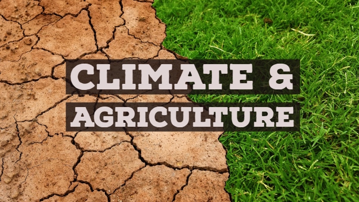 The Impact of Climate Change on Global Agriculture and the urgent need for collaboration.